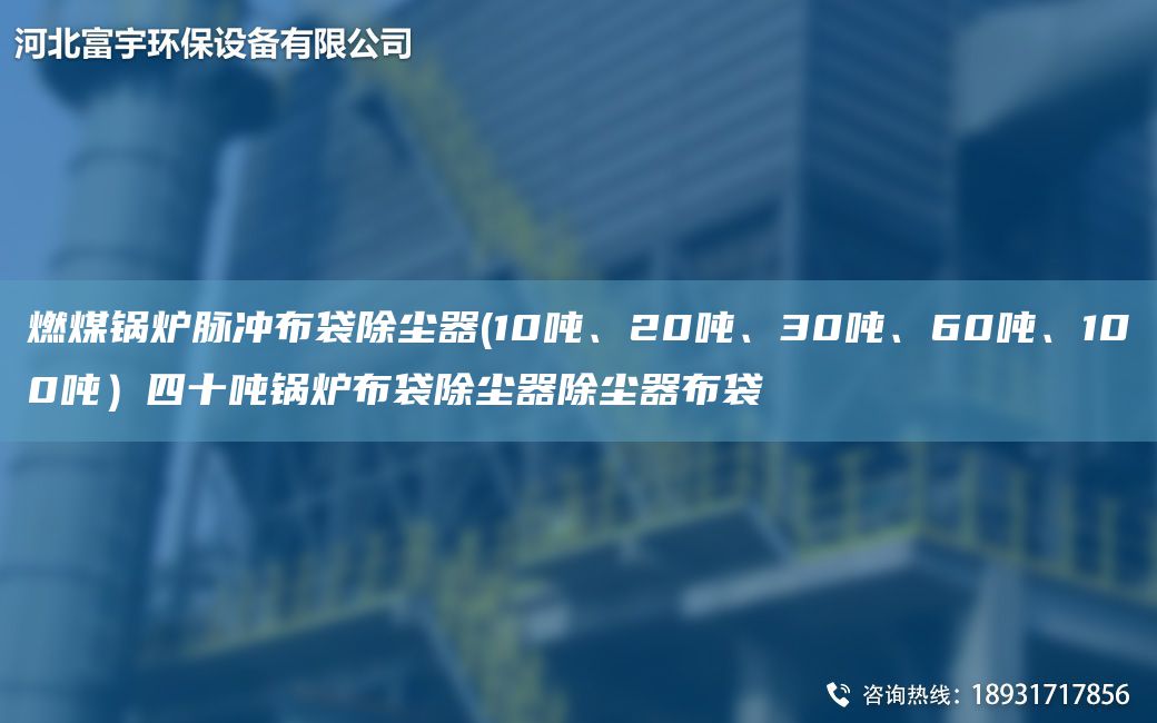 燃煤鍋爐脈沖布袋除塵器(10噸、20噸、30噸、60噸、100噸）四十噸鍋爐布袋除塵器除塵器布袋