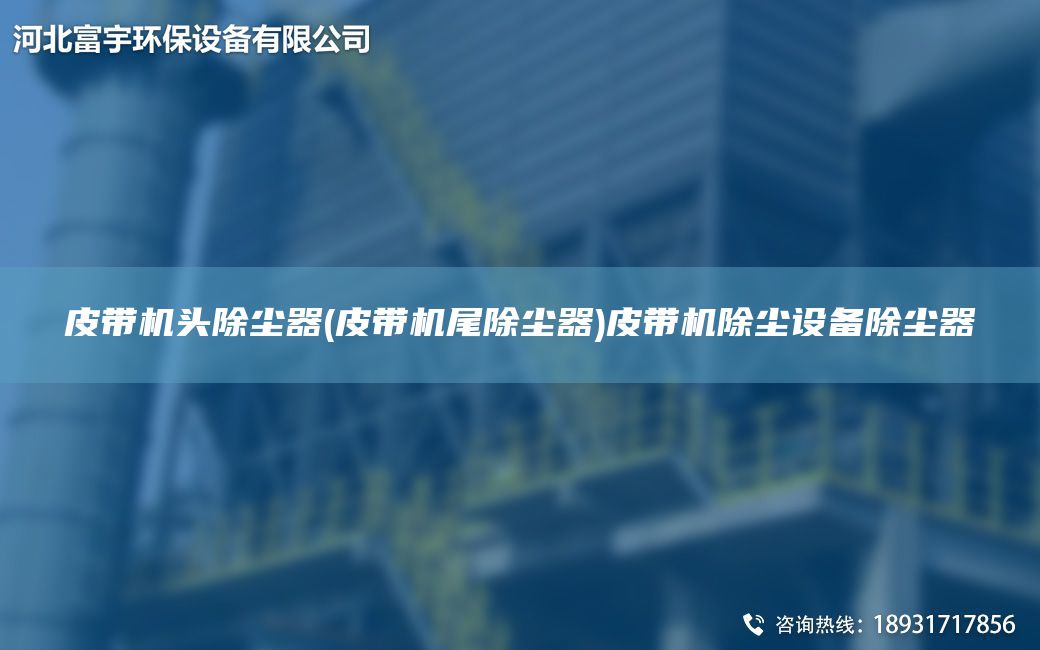 皮帶機(jī)頭除塵器(皮帶機(jī)尾除塵器)皮帶機(jī)除塵設(shè)備除塵器