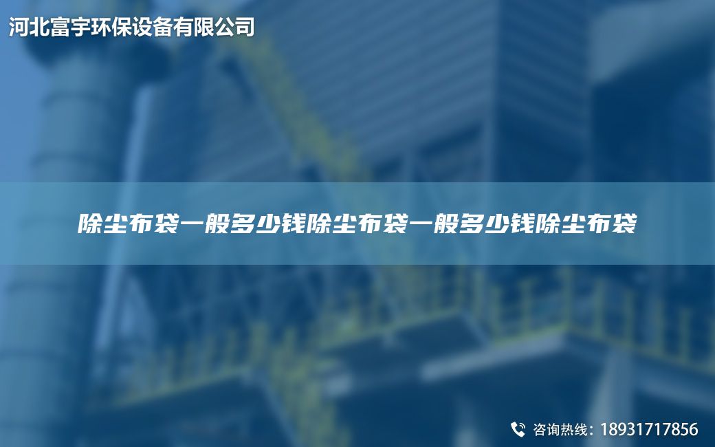 除塵布袋一般多少錢除塵布袋一般多少錢除塵布袋