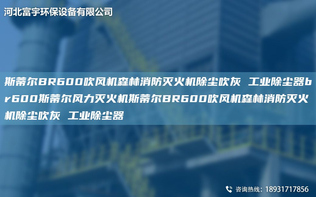 斯蒂爾BR600吹風機森林消防滅火機除塵吹灰 工業(yè)除塵器br600斯蒂爾風力滅火機斯蒂爾BR600吹風機森林消防滅火機除塵吹灰 工業(yè)除塵器