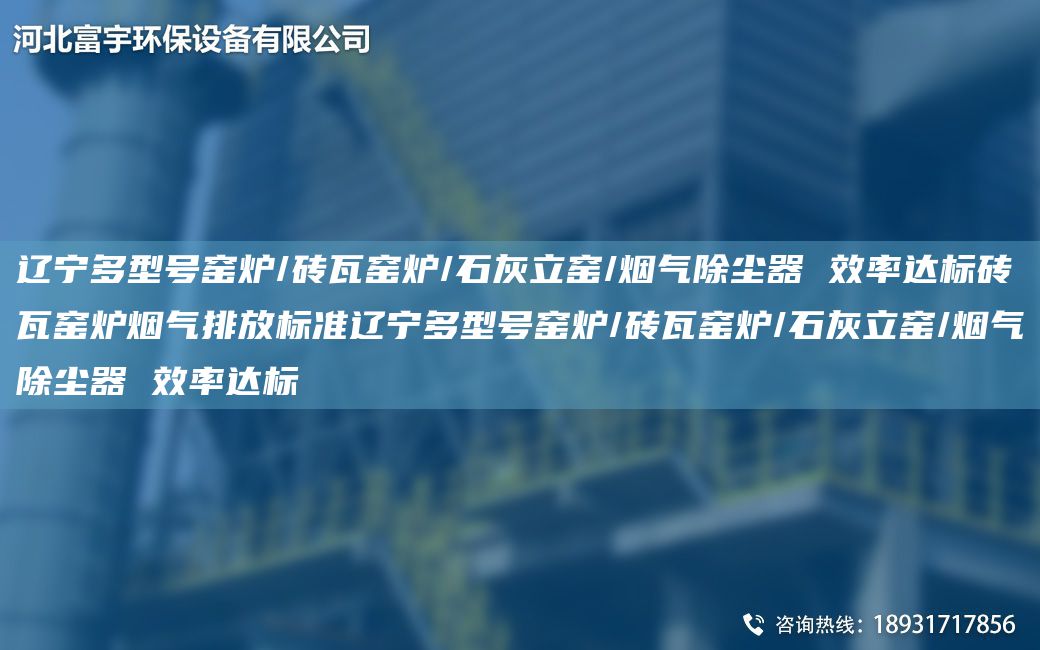 遼寧多型號(hào)窯爐/磚瓦窯爐/石灰立窯/煙氣除塵器 效率達(dá)標(biāo)磚瓦窯爐煙氣排放標(biāo)準(zhǔn)遼寧多型號(hào)窯爐/磚瓦窯爐/石灰立窯/煙氣除塵器 效率達(dá)標(biāo)