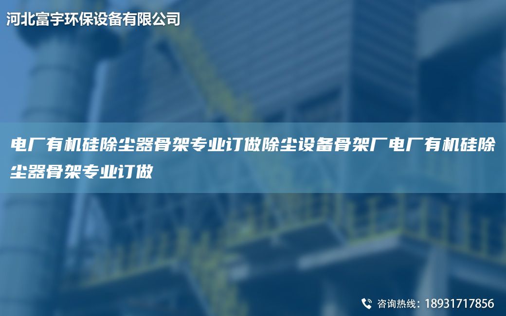 電廠有機硅除塵器骨架專業(yè)訂做除塵設(shè)備骨架廠電廠有機硅除塵器骨架專業(yè)訂做