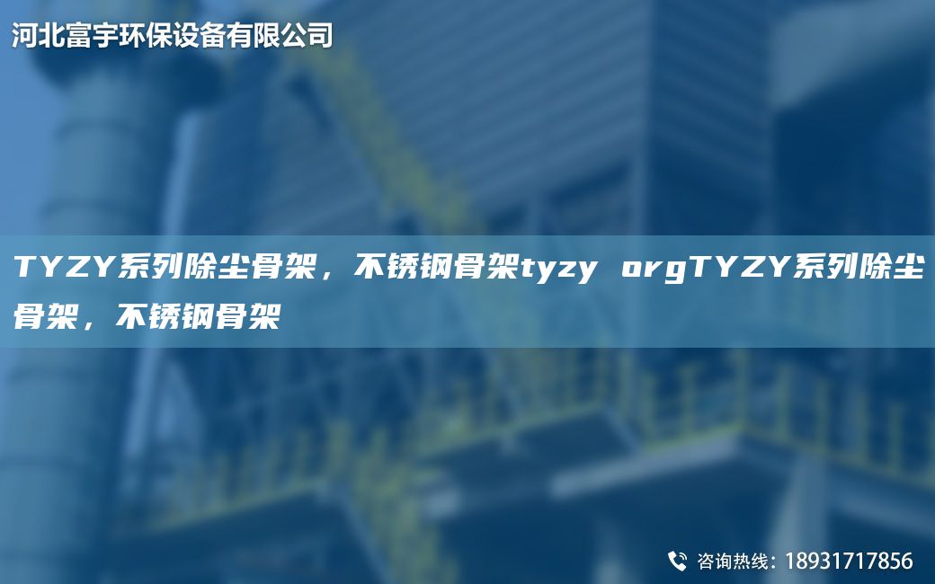 TYZY系列除塵骨架，不銹鋼骨架tyzy orgTYZY系列除塵骨架，不銹鋼骨架
