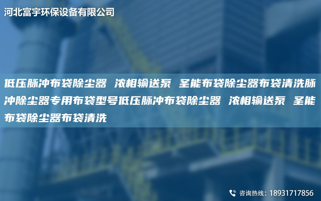 低壓脈沖布袋除塵器 濃相輸送泵 圣能布袋除塵器布袋清洗脈沖除塵器專(zhuān)用布袋型號(hào)低壓脈沖布袋除塵器 濃相輸送泵 圣能布袋除塵器布袋清洗