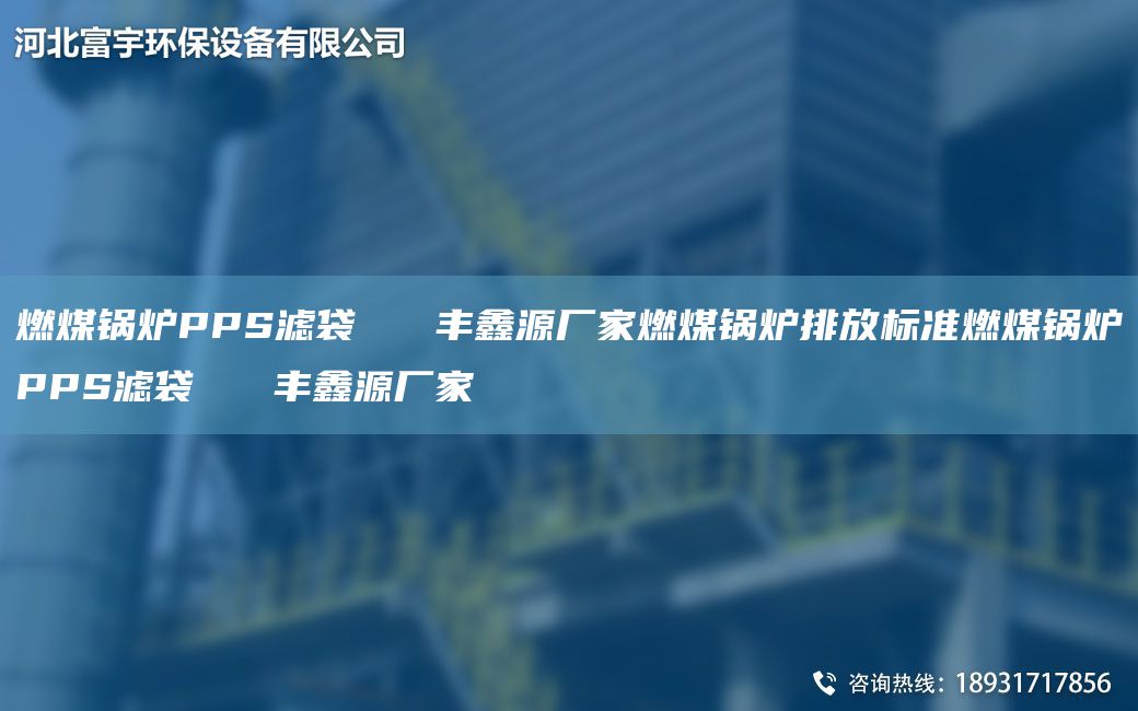 燃煤鍋爐PPS濾袋   豐鑫源廠家燃煤鍋爐排放標(biāo)準(zhǔn)燃煤鍋爐PPS濾袋   豐鑫源廠家