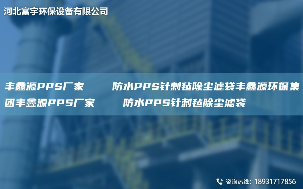 豐鑫源PPS廠家    防水PPS針刺氈除塵濾袋豐鑫源環(huán)保集團(tuán)豐鑫源PPS廠家    防水PPS針刺氈除塵濾袋