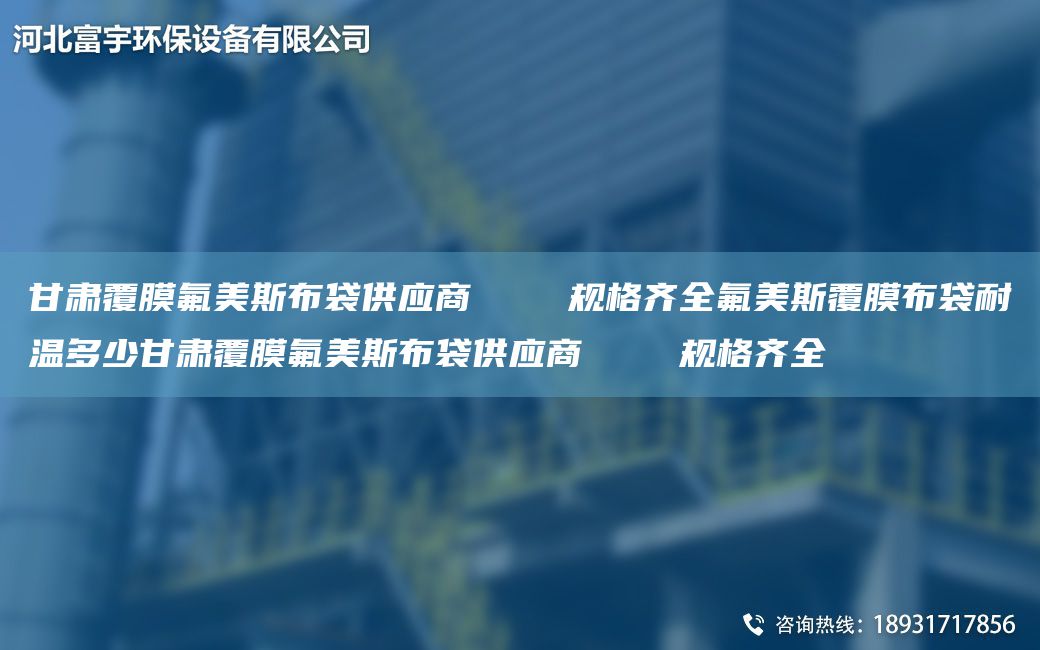 甘肅覆膜氟美斯布袋供應(yīng)商    規(guī)格齊全氟美斯覆膜布袋耐溫多少甘肅覆膜氟美斯布袋供應(yīng)商    規(guī)格齊全