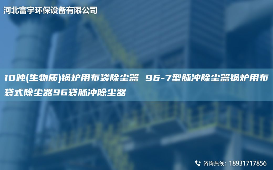 10噸(生物質)鍋爐用布袋除塵器 96-7型脈沖除塵器鍋爐用布袋式除塵器96袋脈沖除塵器
