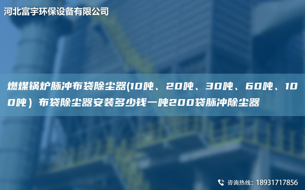 燃煤鍋爐脈沖布袋除塵器(10噸、20噸、30噸、60噸、100噸）布袋除塵器安裝多少錢一噸200袋脈沖除塵器