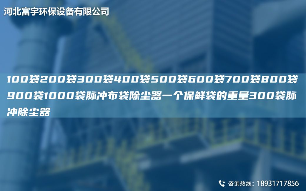 100袋200袋300袋400袋500袋600袋700袋800袋900袋1000袋脈沖布袋除塵器一個保鮮袋的重量300袋脈沖除塵器