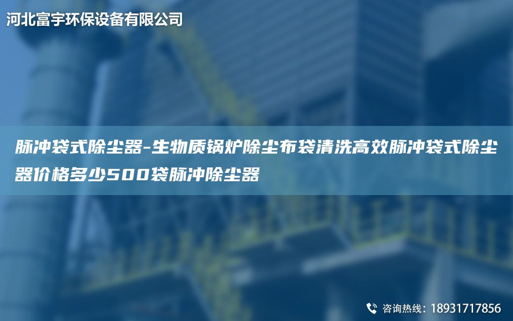 脈沖袋式除塵器-生物質鍋爐除塵布袋清洗高效脈沖袋式除塵器價格多少500袋脈沖除塵器