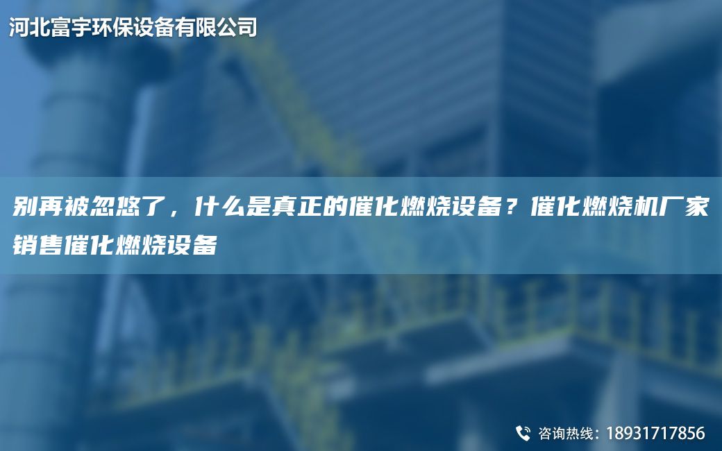 別再被忽悠了，什么是真正的催化燃燒設備？催化燃燒機廠家銷售催化燃燒設備
