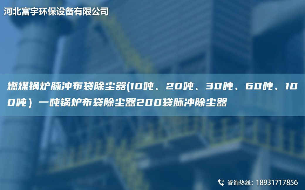 燃煤鍋爐脈沖布袋除塵器(10噸、20噸、30噸、60噸、100噸）一噸鍋爐布袋除塵器200袋脈沖除塵器