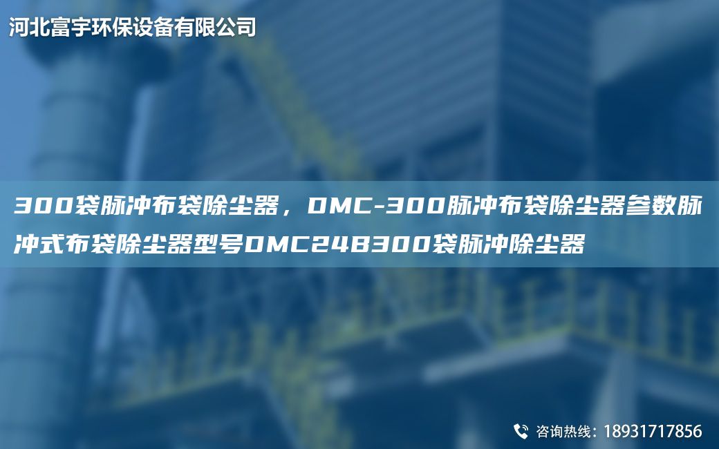 300袋脈沖布袋除塵器，DMC-300脈沖布袋除塵器參數(shù)脈沖式布袋除塵器型號DMC24B300袋脈沖除塵器