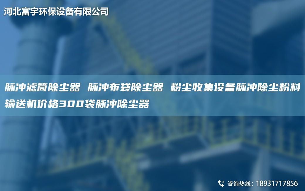 脈沖濾筒除塵器 脈沖布袋除塵器 粉塵收集設(shè)備脈沖除塵粉料輸送機(jī)價(jià)格300袋脈沖除塵器