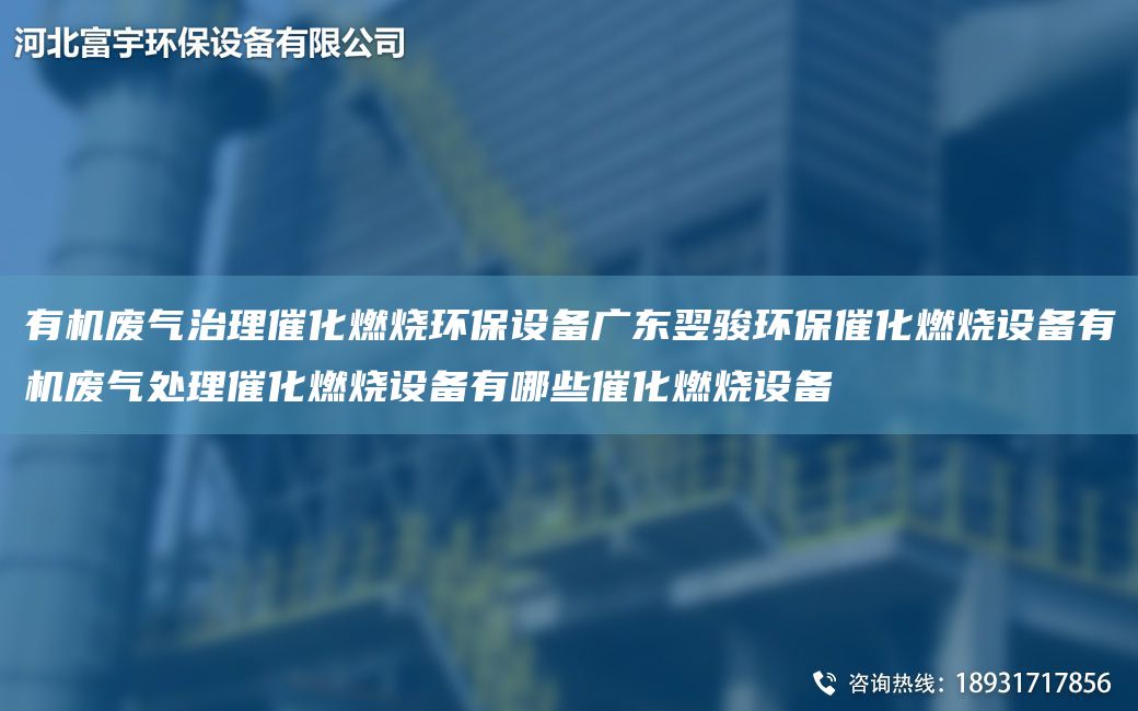 有機(jī)廢氣治理催化燃燒環(huán)保設(shè)備廣東翌駿環(huán)保催化燃燒設(shè)備有機(jī)廢氣處理催化燃燒設(shè)備有哪些催化燃燒設(shè)備