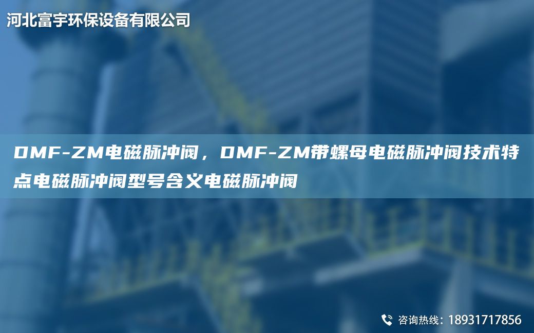 DMF-ZM電磁脈沖閥，DMF-ZM帶螺母電磁脈沖閥技術(shù)特點電磁脈沖閥型號含義電磁脈沖閥