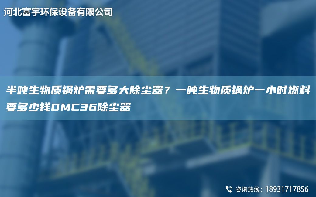 半噸生物質(zhì)鍋爐需要多大除塵器？一噸生物質(zhì)鍋爐一小時燃料要多少錢DMC36除塵器