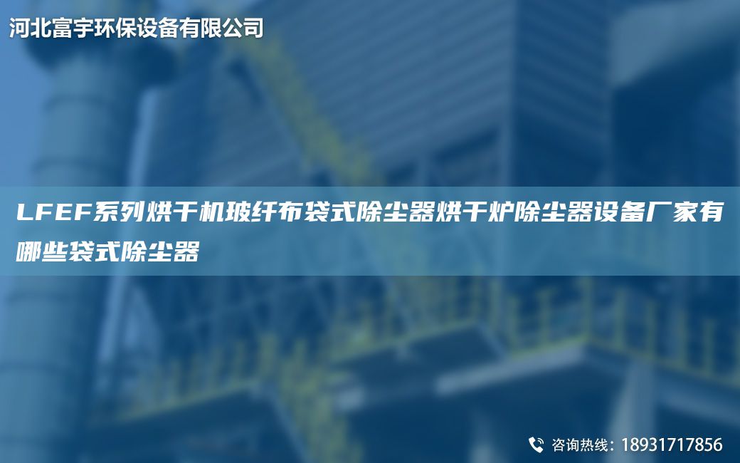 LFEF系列烘干機(jī)玻纖布袋式除塵器烘干爐除塵器設(shè)備廠家有哪些袋式除塵器
