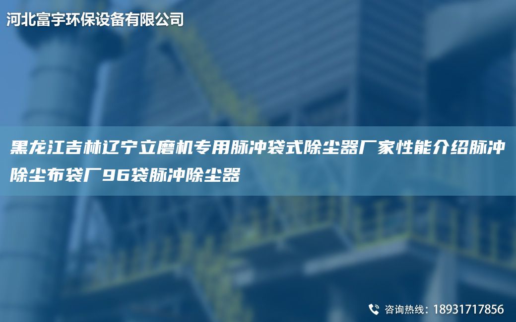 黑龍江吉林遼寧立磨機(jī)專用脈沖袋式除塵器廠家性能介紹脈沖除塵布袋廠96袋脈沖除塵器