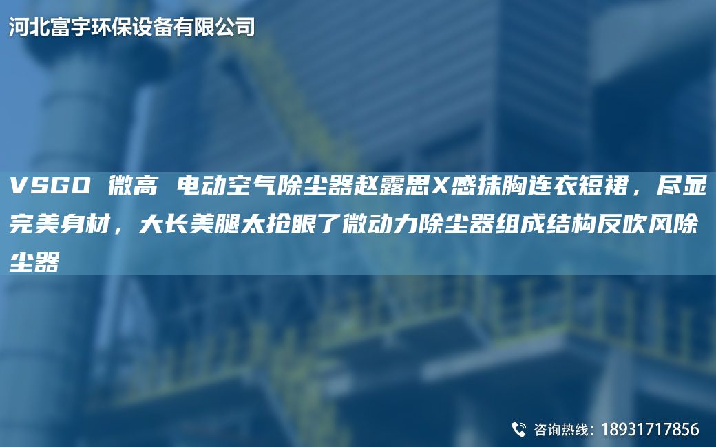 VSGO 微高 電動空氣除塵器趙露思X感抹胸連衣短裙，盡顯WM身材，大長美腿太搶眼了微動力除塵器組成結(jié)構(gòu)反吹風除塵器