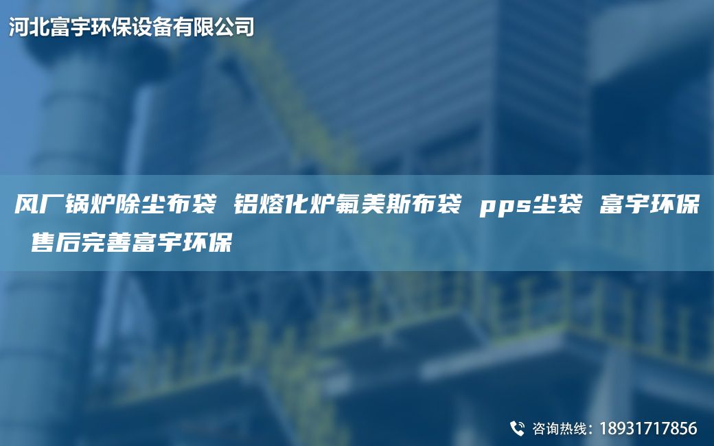 風(fēng)廠鍋爐除塵布袋 鋁熔化爐氟美斯布袋 pps塵袋 富宇環(huán)保 售后完善富宇環(huán)保