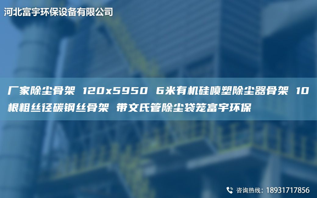 廠家除塵骨架 120x5950 6米有機(jī)硅噴塑除塵器骨架 10根粗絲徑碳鋼絲骨架 帶文氏管除塵袋籠富宇環(huán)保