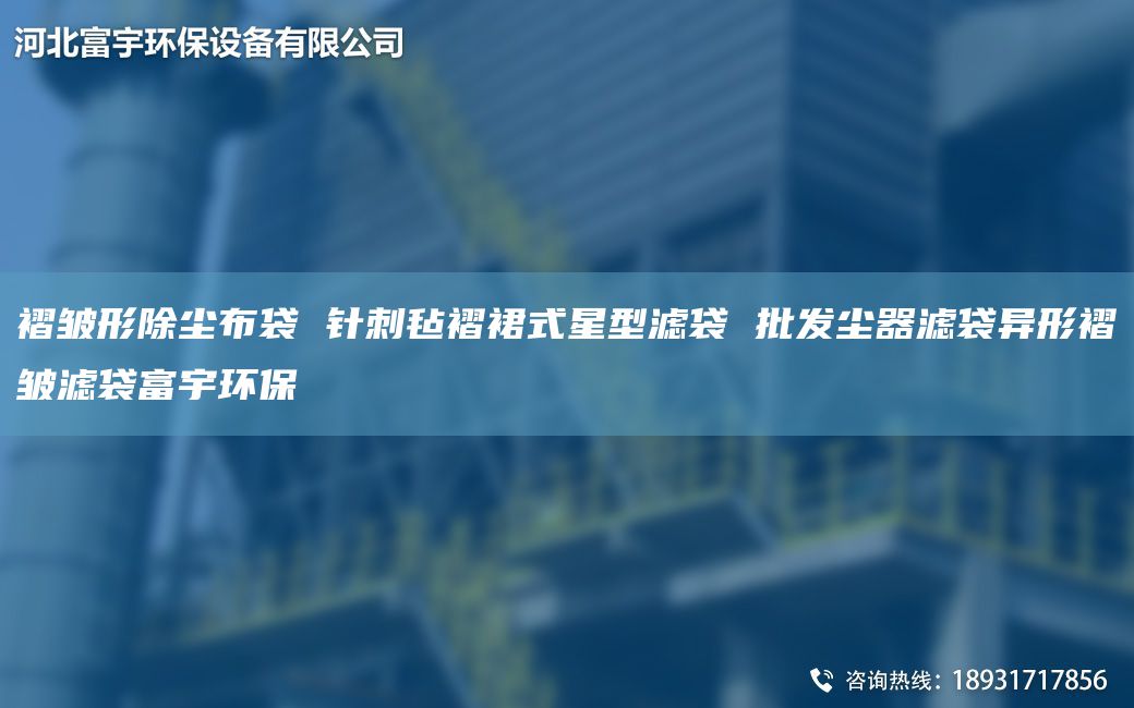 褶皺形除塵布袋 針刺氈褶裙式星型濾袋 批發(fā)塵器濾袋異形褶皺濾袋富宇環(huán)保