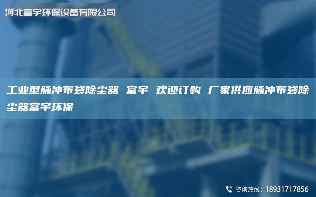 工業(yè)型脈沖布袋除塵器 富宇 歡迎訂購 廠家供應(yīng)脈沖布袋除塵器富宇環(huán)保