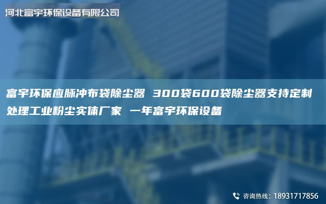 富宇環(huán)保應(yīng)脈沖布袋除塵器 300袋600袋除塵器支持定制 處理工業(yè)粉塵實(shí)體廠家 一年富宇環(huán)保設(shè)備