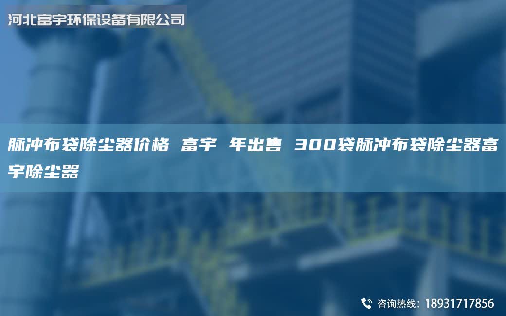 脈沖布袋除塵器價(jià)格 富宇 年出售 300袋脈沖布袋除塵器富宇除塵器
