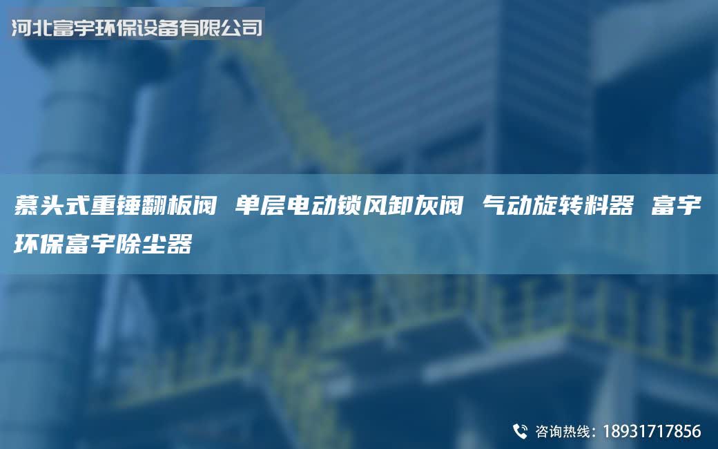 慕頭式重錘翻板閥 單層電動鎖風(fēng)卸灰閥 氣動旋轉(zhuǎn)料器 富宇環(huán)保富宇除塵器