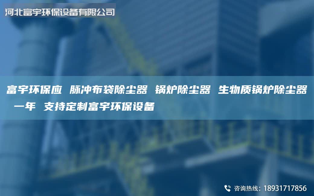富宇環(huán)保應(yīng) 脈沖布袋除塵器 鍋爐除塵器 生物質(zhì)鍋爐除塵器 一年 支持定制富宇環(huán)保設(shè)備