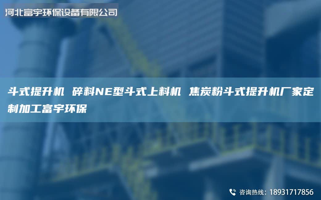 斗式提升機 碎料NE型斗式上料機 焦炭粉斗式提升機廠家定制加工富宇環(huán)保