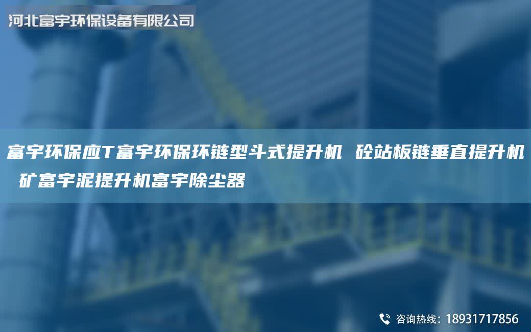 富宇環(huán)保應(yīng)T富宇環(huán)保環(huán)鏈型斗式提升機(jī) 砼站板鏈垂直提升機(jī) 礦富宇泥提升機(jī)富宇除塵器