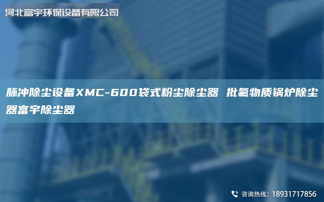 脈沖除塵設(shè)備XMC-600袋式粉塵除塵器 批氟物質(zhì)鍋爐除塵器富宇除塵器
