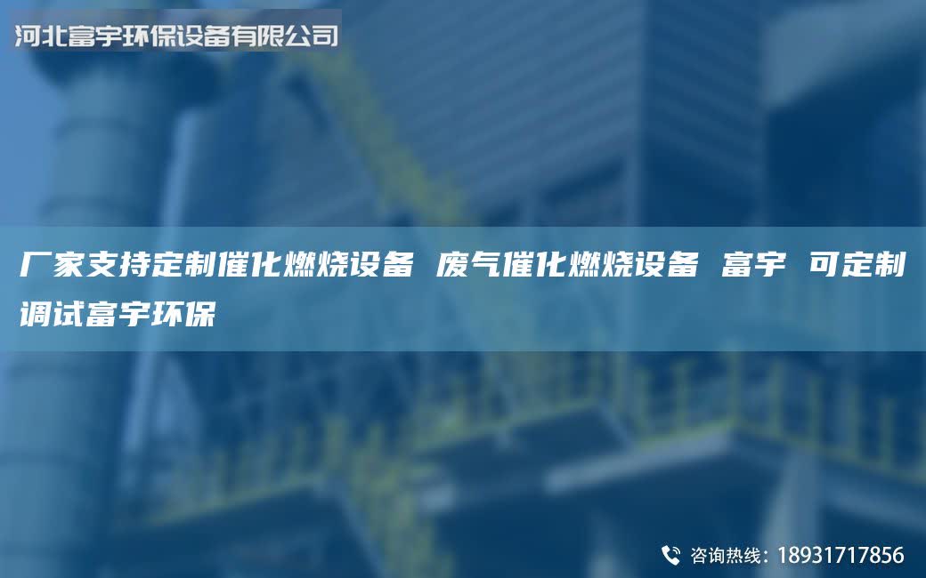 廠家支持定制催化燃燒設(shè)備 廢氣催化燃燒設(shè)備 富宇 可定制調(diào)試富宇環(huán)保