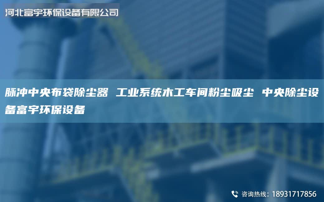 脈沖中央布袋除塵器 工業(yè)系統(tǒng)木工車間粉塵吸塵 中央除塵設(shè)備富宇環(huán)保設(shè)備