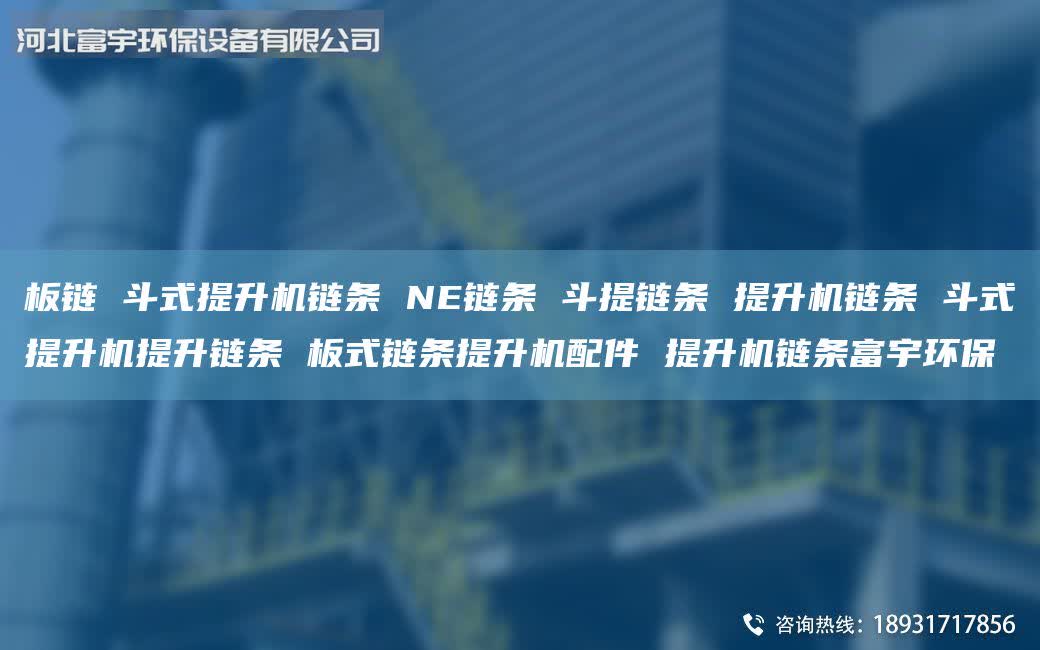 板鏈 斗式提升機(jī)鏈條 NE鏈條 斗提鏈條 提升機(jī)鏈條 斗式提升機(jī)提升鏈條 板式鏈條提升機(jī)配件 提升機(jī)鏈條富宇環(huán)保