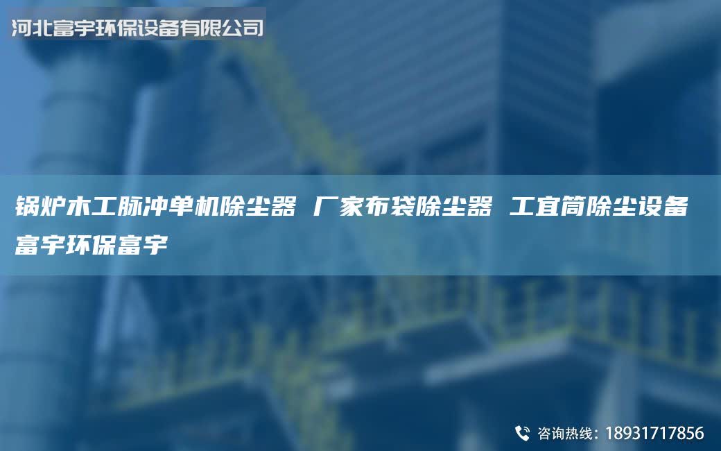 鍋爐木工脈沖單機(jī)除塵器 廠家布袋除塵器 工宜筒除塵設(shè)備 富宇環(huán)保富宇