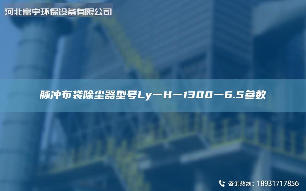 脈沖布袋除塵器型號Ly一H一1300一6.5參數(shù)