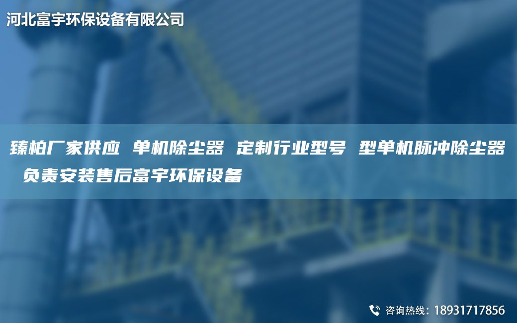 臻柏廠家供應 單機除塵器 定制行業(yè)型號 型單機脈沖除塵器 負責安裝售后富宇環(huán)保設備