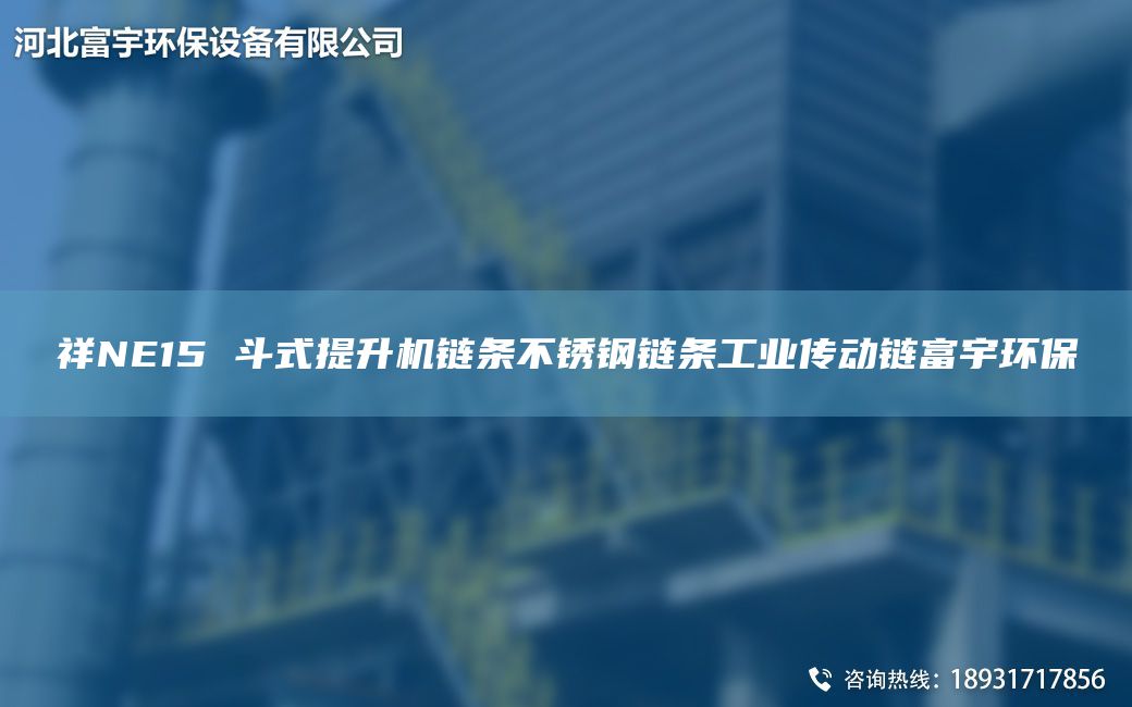 祥NE15 斗式提升機鏈條不銹鋼鏈條工業(yè)傳動鏈富宇環(huán)保