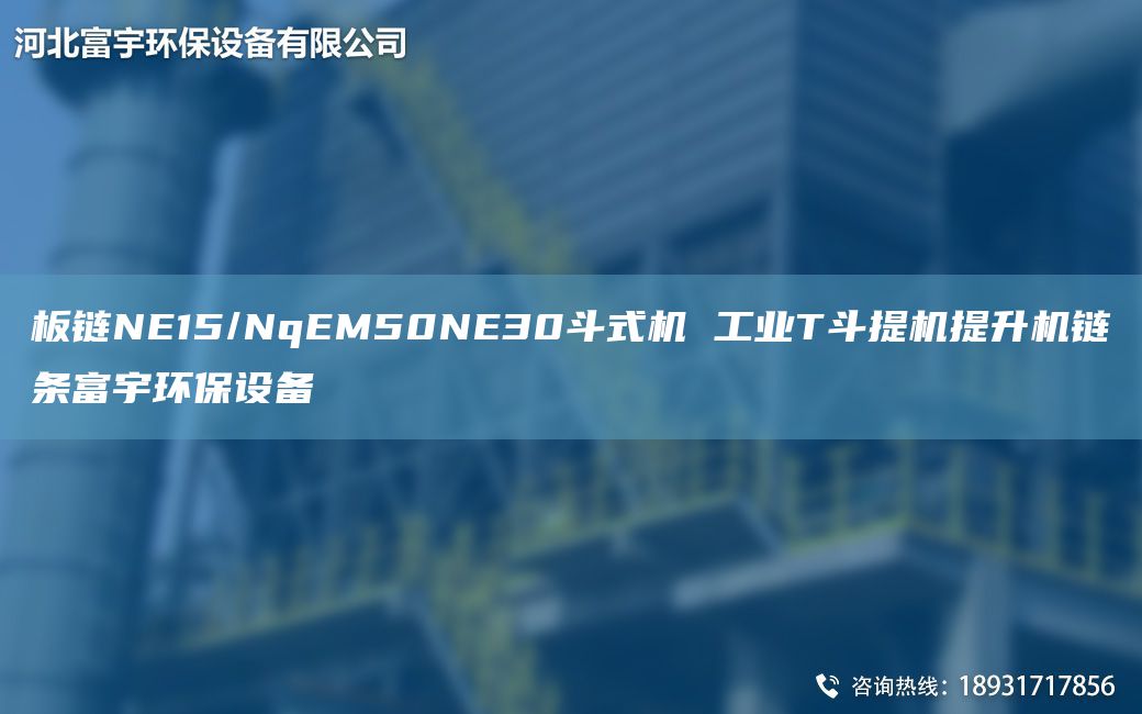 板鏈NE15/NqEM50NE30斗式機 工業(yè)T斗提機提升機鏈條富宇環(huán)保設(shè)備