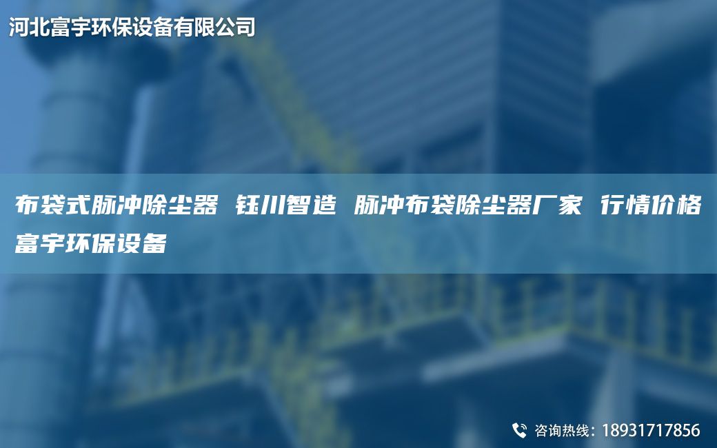 布袋式脈沖除塵器 鈺川智造 脈沖布袋除塵器廠家 行情價格富宇環(huán)保設(shè)備