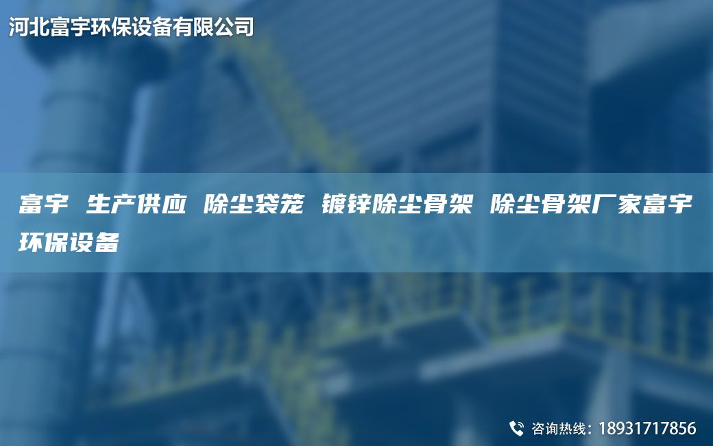 富宇 生產(chǎn)供應(yīng) 除塵袋籠 鍍鋅除塵骨架 除塵骨架廠家富宇環(huán)保設(shè)備