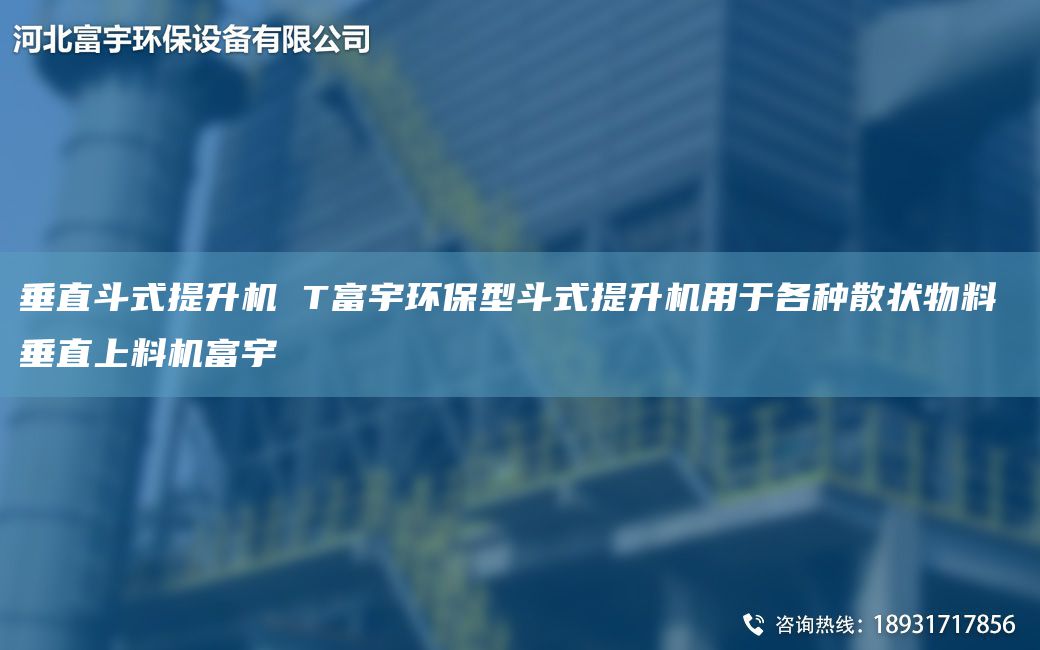 垂直斗式提升機(jī) T富宇環(huán)保型斗式提升機(jī)用于各種散狀物料 垂直上料機(jī)富宇