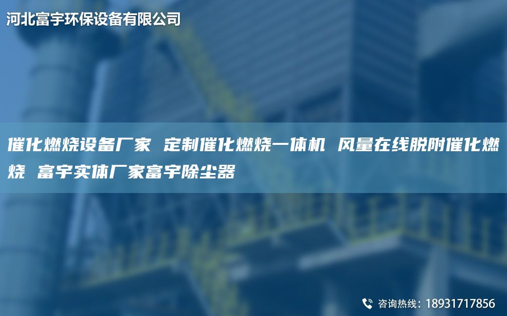 催化燃燒設(shè)備廠家 定制催化燃燒一體機 風(fēng)量在線脫附催化燃燒 富宇實體廠家富宇除塵器