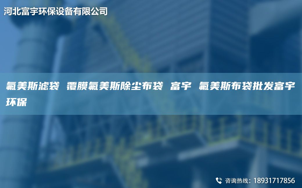 氟美斯濾袋 覆膜氟美斯除塵布袋 富宇 氟美斯布袋批發(fā)富宇環(huán)保