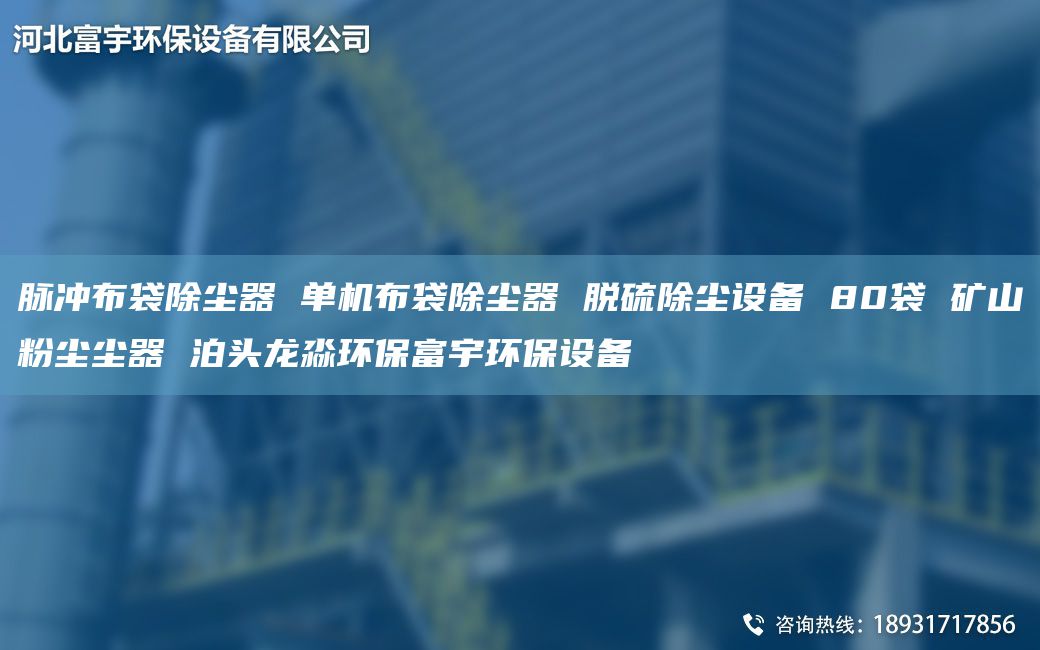 脈沖布袋除塵器 單機(jī)布袋除塵器 脫硫除塵設(shè)備 80袋 礦山粉塵塵器 泊頭龍淼環(huán)保富宇環(huán)保設(shè)備
